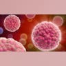 Cancer Prevention
