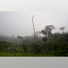 Peru_Cocaleros_Photo__Garc_2_