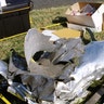 American Airlines Flight 77 debris at the Pentagon