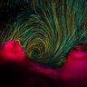 Photography, First Place: A fluid flow produced by corals