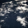 Shadows from a near total solar eclipse are projected on a sidewalk as a pedestrian passes in Atlanta