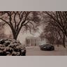 White House