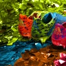 Adidas_Carnaval_Cleat__2_