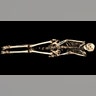 Skeleton, revealed