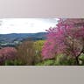 AustinHillCountry