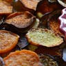 Baked_Potato_and_Veggie_Chips_6