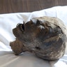 Ancient Head of Pa-Ib
