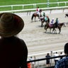 Belmont_Stakes_Horse1