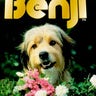 Benji