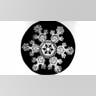 Bentley's Snowflakes