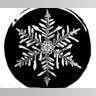 Bentley's Snowflakes