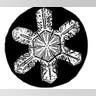 Bentley's Snowflakes