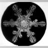 Bentley's Snowflakes