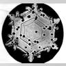 Bentley's Snowflakes