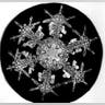 Bentley's Snowflakes
