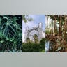 BotanischerGarten