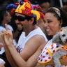 Brazil_Carnival_dogs_3