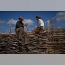 Brazil_Cowboy_Photo_E_Garc_10_