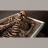 Bulgaria_Vampire_Skeleleton
