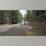 CO_dog_powered_tours
