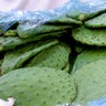 Talavera's cactus salad