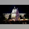 Capitol_Christmas_Tree__erika_garcia_foxnewslatino_com_24