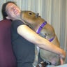 To Kiss a Capybara