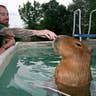 A Dip in the Pool