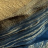 The Polar Dunes of Mars