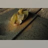 Chiles_Emerging_Cuisine__8_