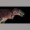 Clash of the Dinosaurs