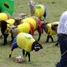 Colombia_Soccer_Sheep__4_
