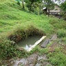 Contaminated_water_supply___Panama