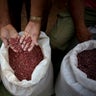 Cuba_Farmers__4