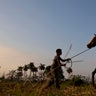 Cuba_Horse_Training__15_