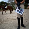 Cuba_Horse_Training__6_
