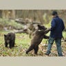 Dance_with_a_Bear_2