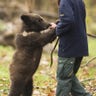 Dance_with_a_Bear