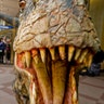 Proud Carnivore