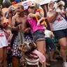 Dog_Rio_Carnival_4