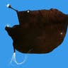 Double_Baited_Anglerfish