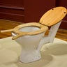 Double-Handled Toilet Seat