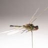 Dragonfly_Insectothopter