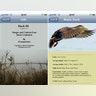 iPhone Apps: Duck ID