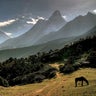 Eastern_Himalayas