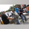 Ecuador_Donkey_Election