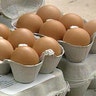 Eggs_Web