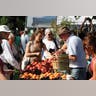 Elmwood_Farmers_Market