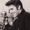 Elvis 2 