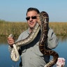 Everglades_pythons4